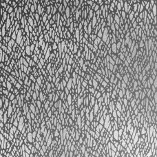 Lattice